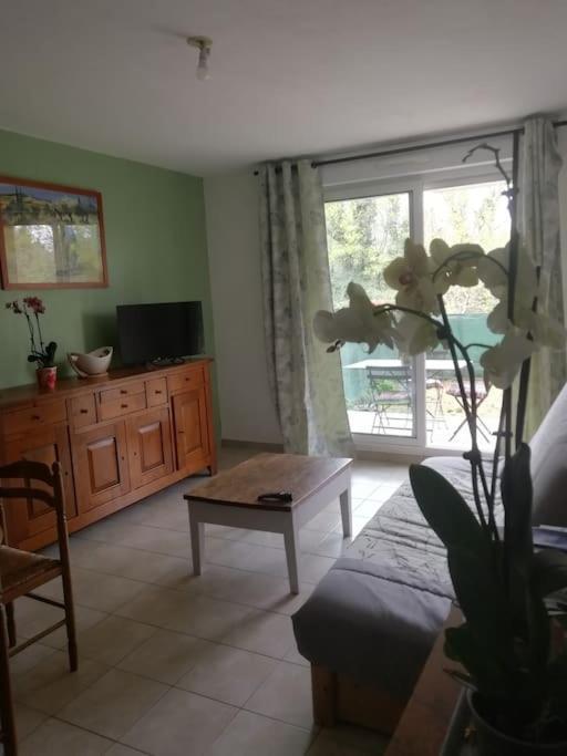 Appartement Avignon Garage-Spacieuse Terrasse Kültér fotó